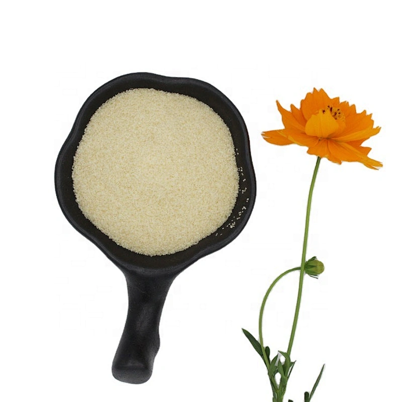Food Grade Gelatin Powder Edible Bovine Beef Gelatin 220 Bloom 240 Bloom